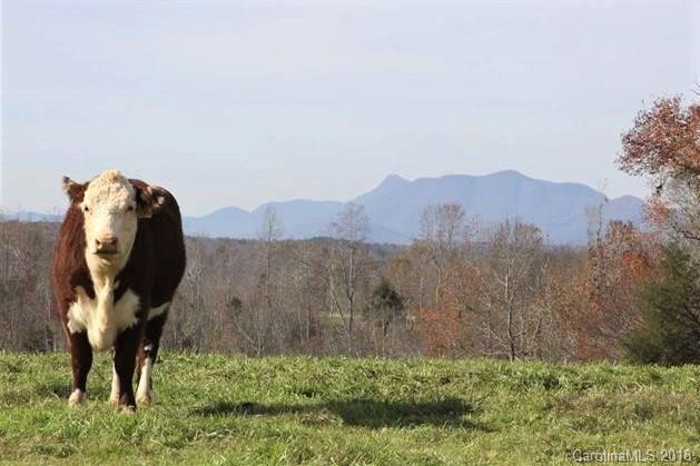 342 Tom Camp Road, Unit 1 Rutherfordton, NC 28139 - Photo 1 of 8
