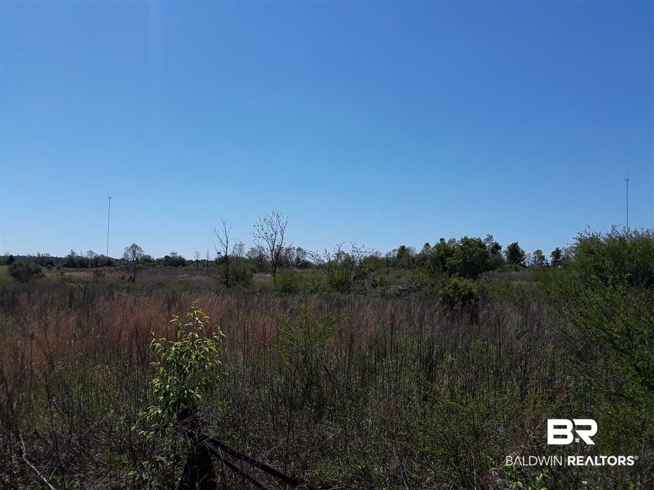 0 County Road 68 Extension Robertsdale, AL 36567 - Photo 5 of 9