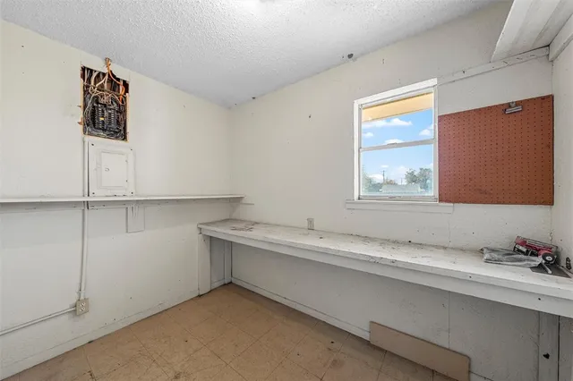a room with a window and a potted plant on a counter