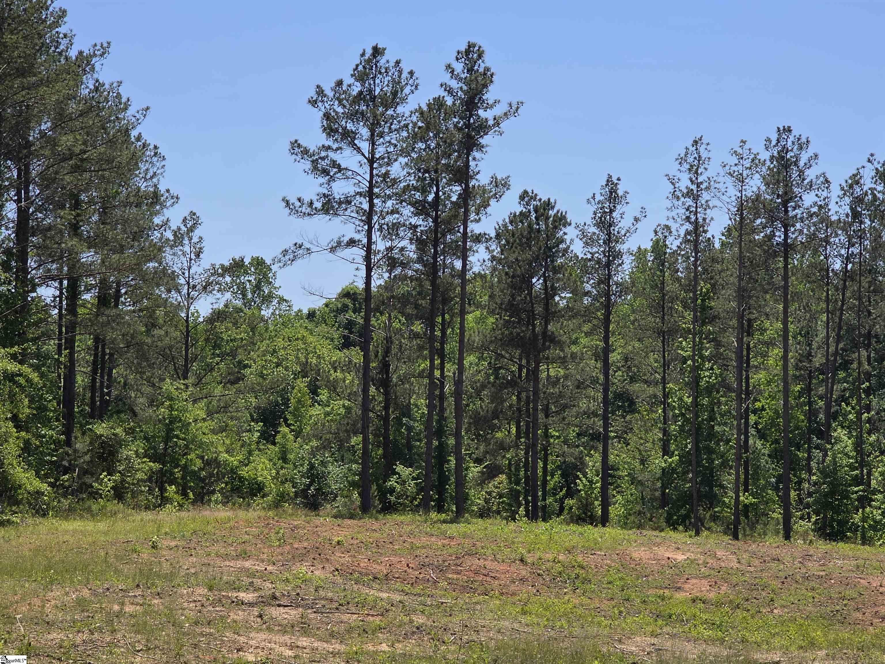 862 Dunklin Bridge Road Fountain Inn, SC 29644 - Photo 8 of 24 Gallery Image 8