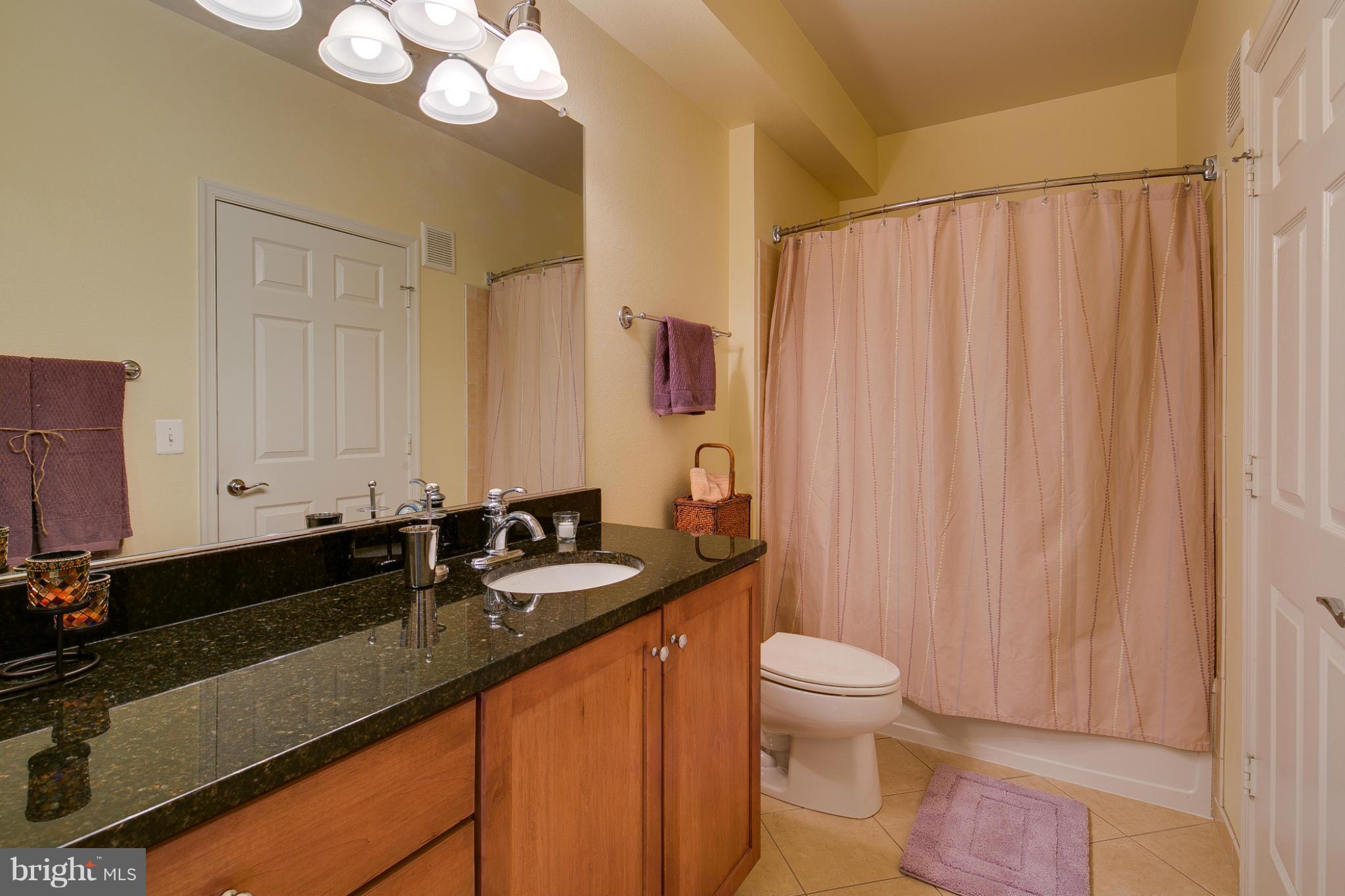 11800 Old Georgetown Road, Unit 1424 North Bethesda, MD 20852 - Photo 16 of 30 Bath (Master)