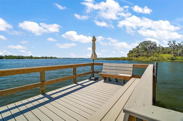 $560,000 | 629 South Sandlake Court, Mount Dora, FL 32757