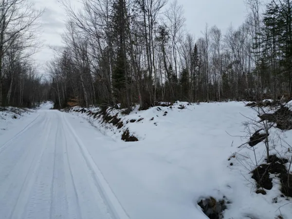 $44,900 | Lot 1 Moores Road, Springfield, ME 04487