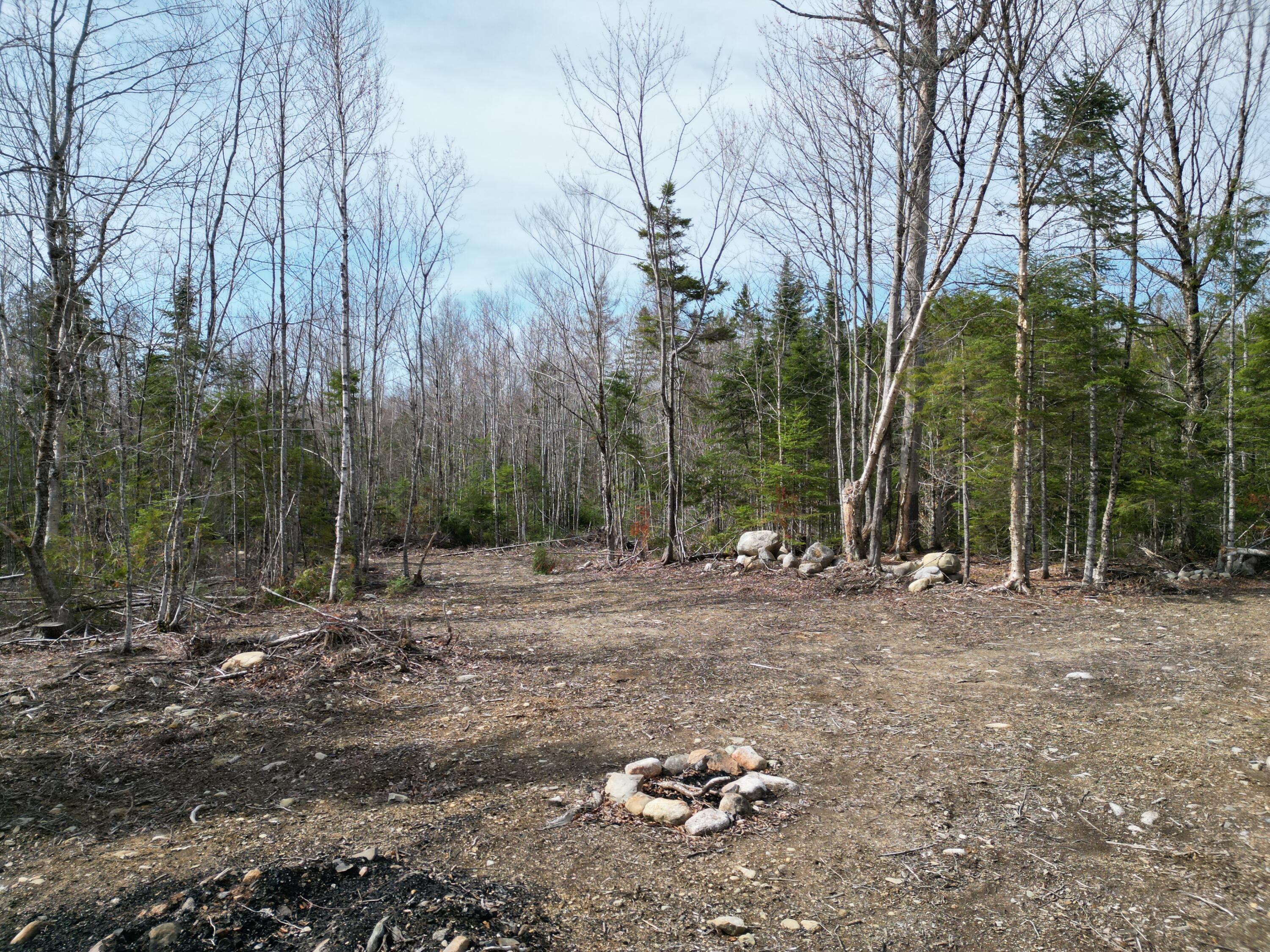 Lot 1 Moores Road Springfield, ME 04487 - Photo 11 of 20 DJI_0264
