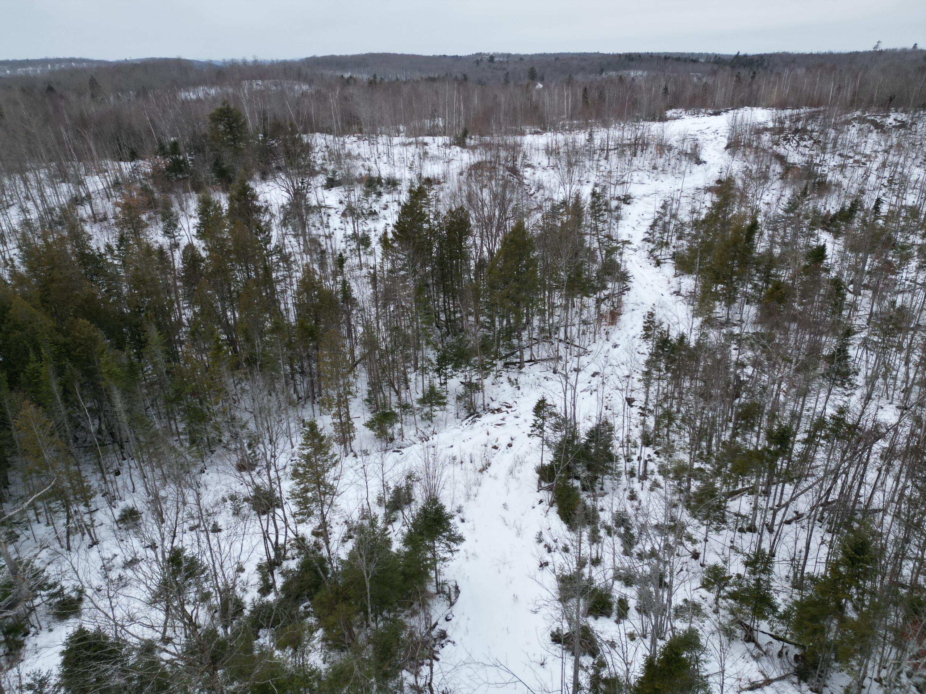 Lot 1 Moores Road Springfield, ME 04487 - Photo 11 of 19 DJI_0944