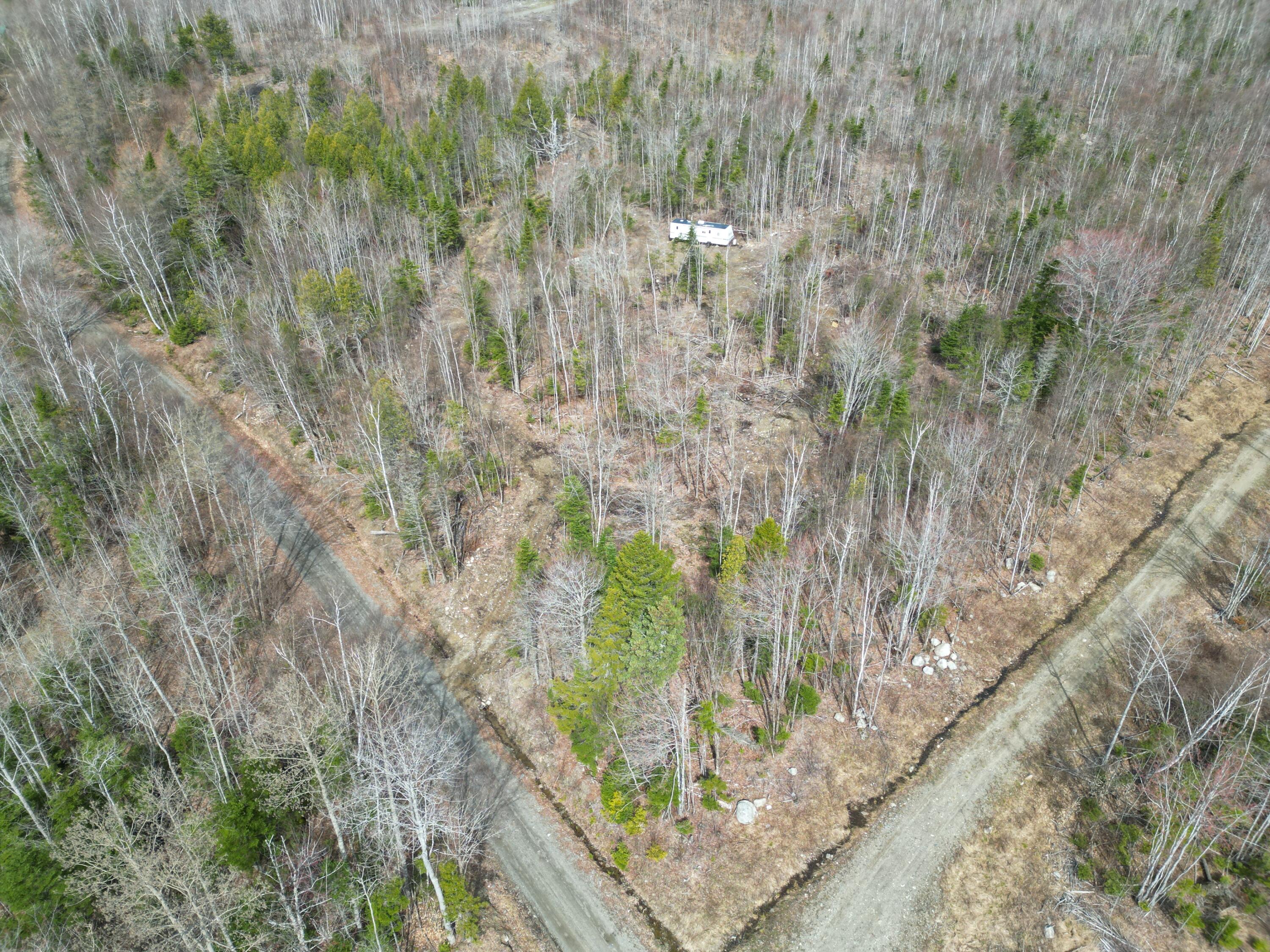 Lot 1 Moores Road Springfield, ME 04487 - Photo 12 of 20 DJI_0265