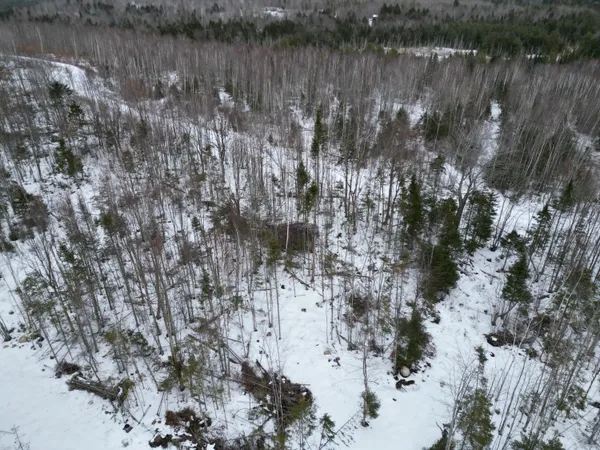 $43,900 | Lot 1 Moores Road, Springfield, ME 04487