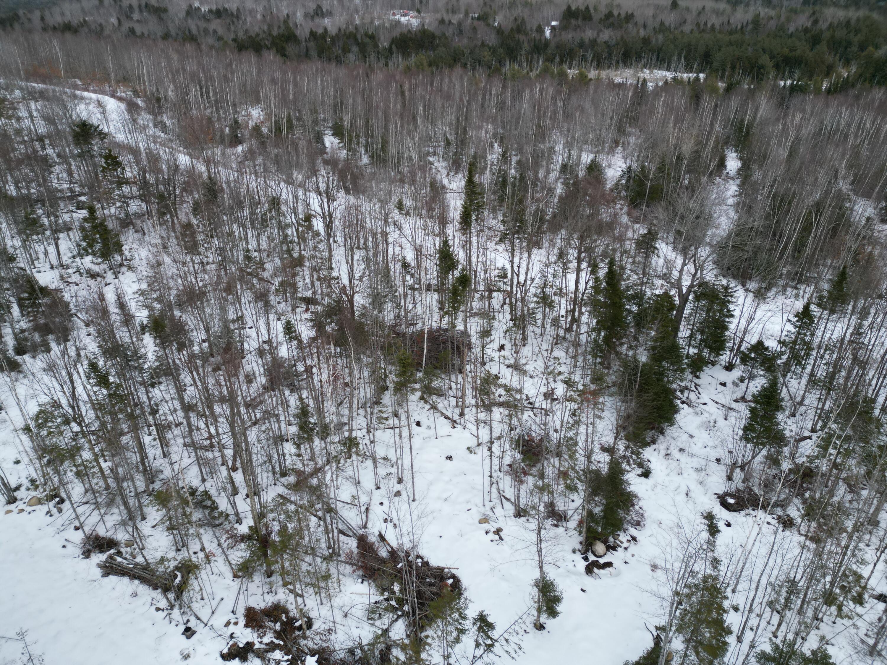 Lot 1 Moores Road Springfield, ME 04487 - Photo 12 of 19 DJI_0945