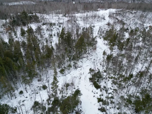 $43,900 | Lot 1 Moores Road, Springfield, ME 04487