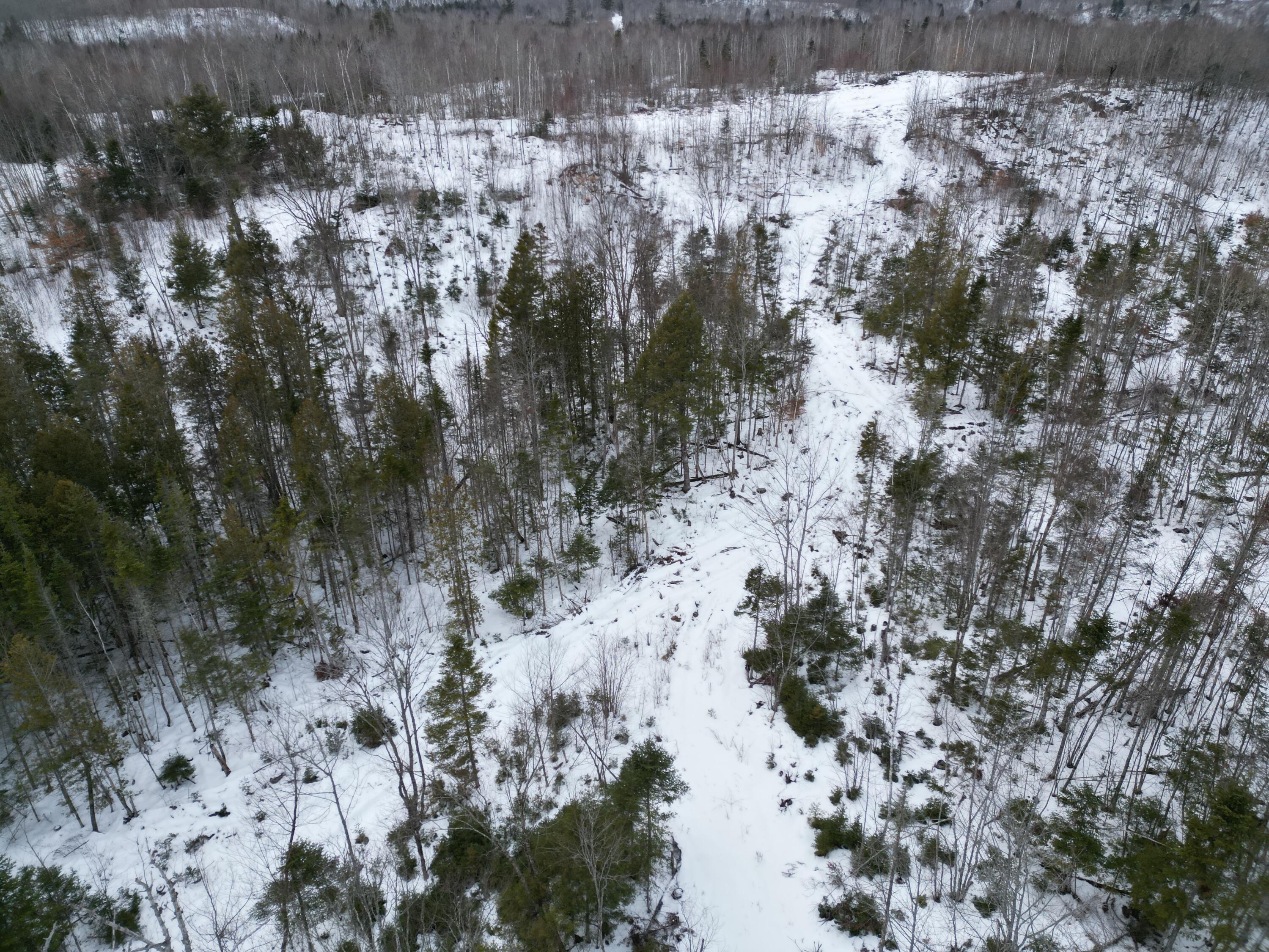 Lot 1 Moores Road Springfield, ME 04487 - Photo 13 of 19 DJI_0946