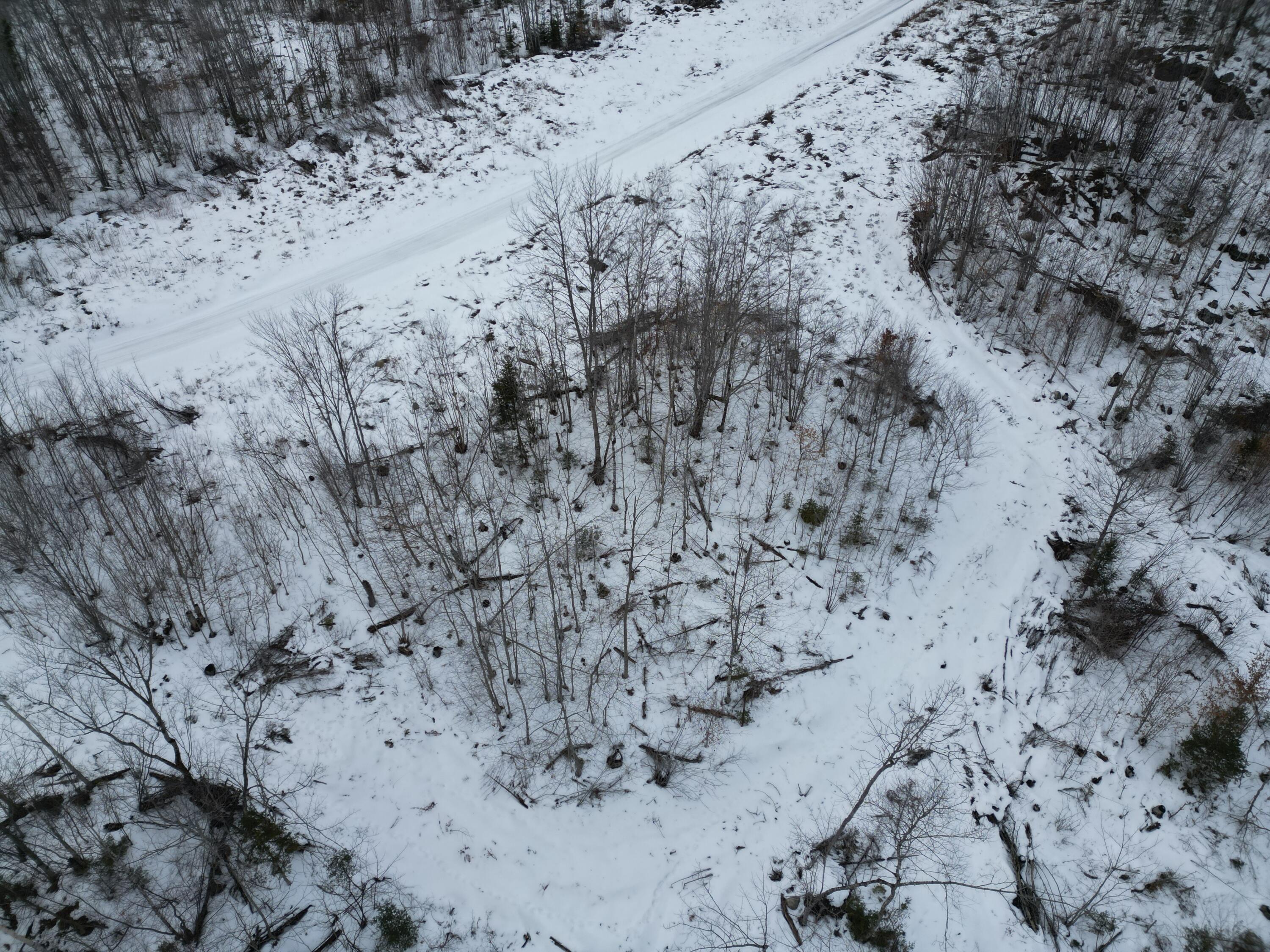 Lot 1 Moores Road Springfield, ME 04487 - Photo 14 of 19 DJI_0947
