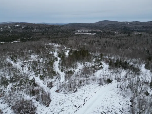 $43,900 | Lot 1 Moores Road, Springfield, ME 04487