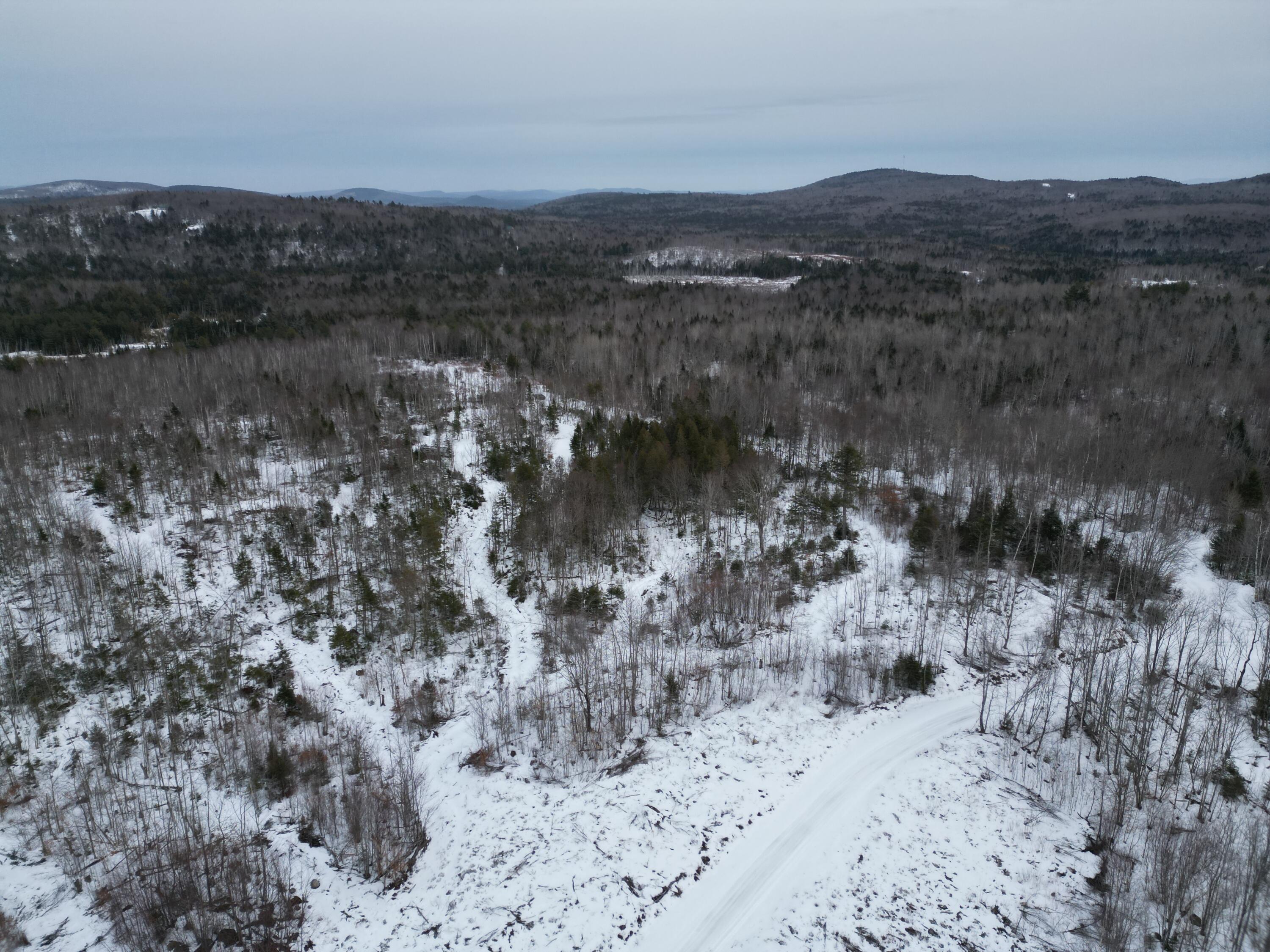 Lot 1 Moores Road Springfield, ME 04487 - Photo 15 of 19 DJI_0948
