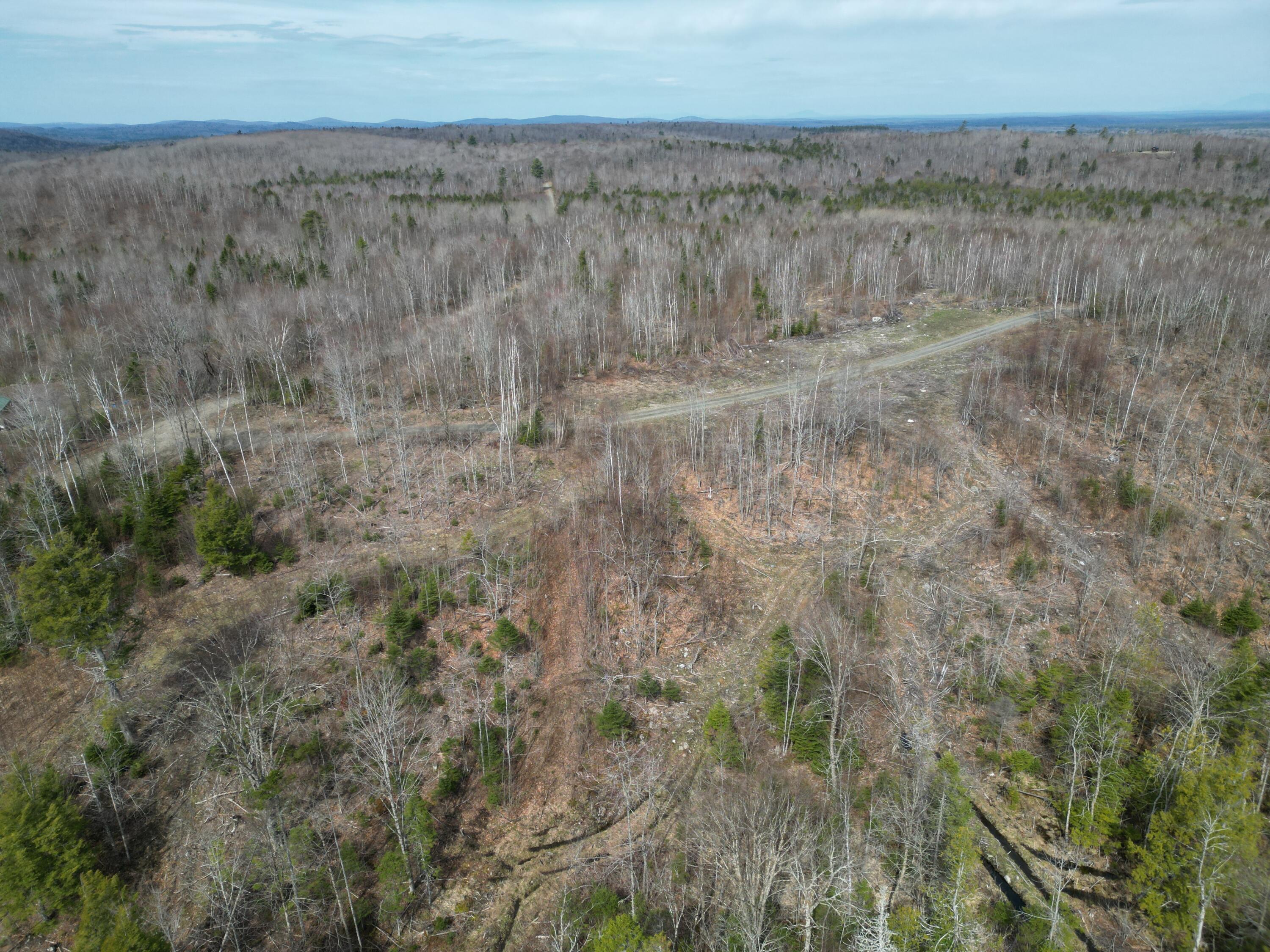 Lot 1 Moores Road Springfield, ME 04487 - Photo 16 of 20 DJI_0269
