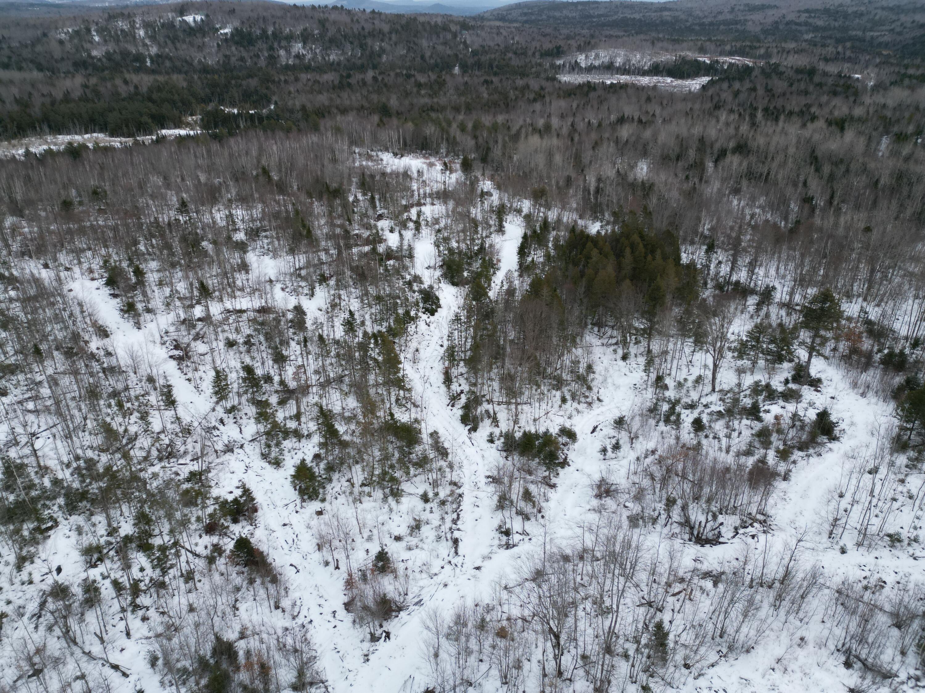 Lot 1 Moores Road Springfield, ME 04487 - Photo 16 of 19 DJI_0949