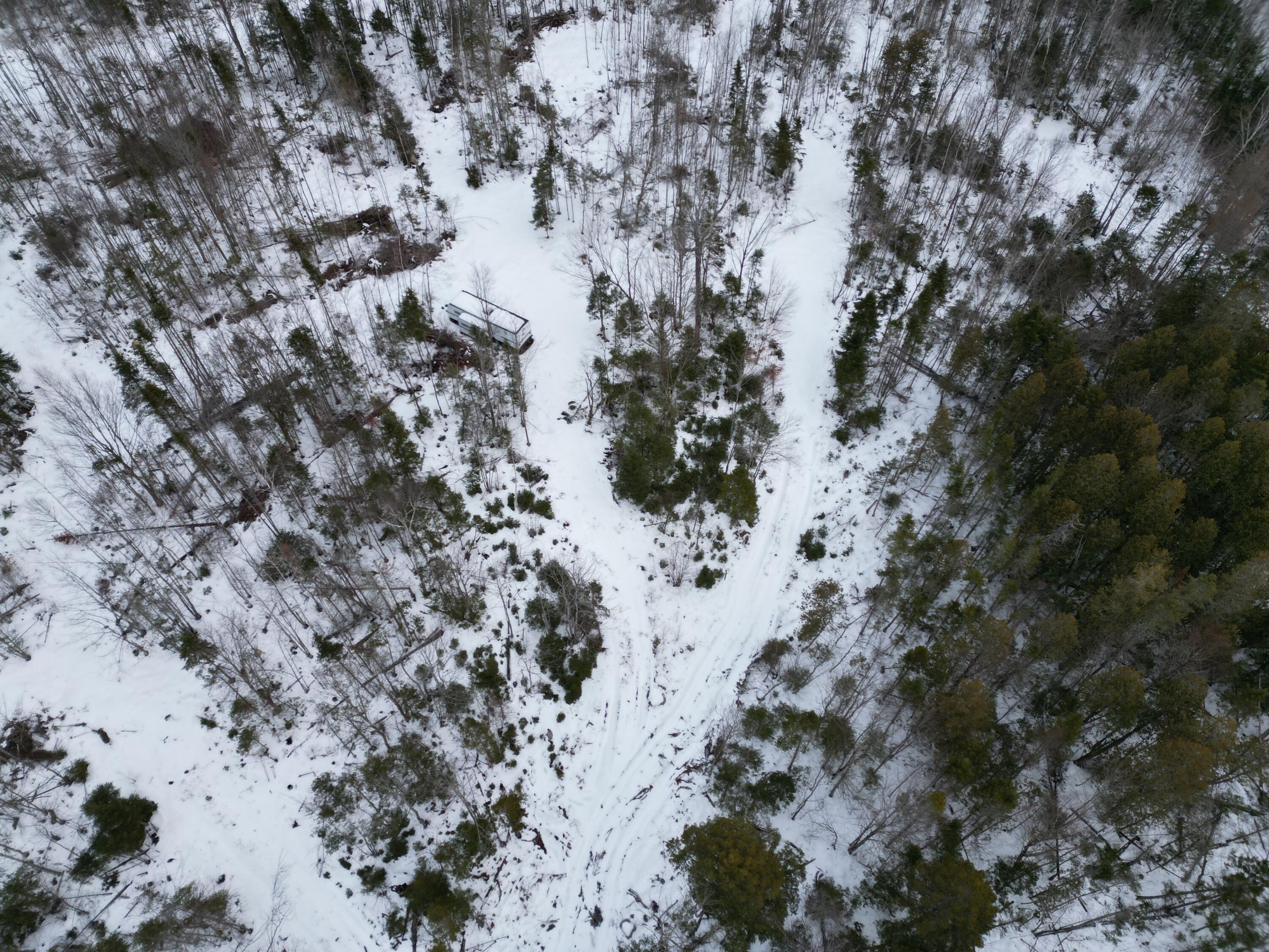 Lot 1 Moores Road Springfield, ME 04487 - Photo 17 of 19 DJI_0950