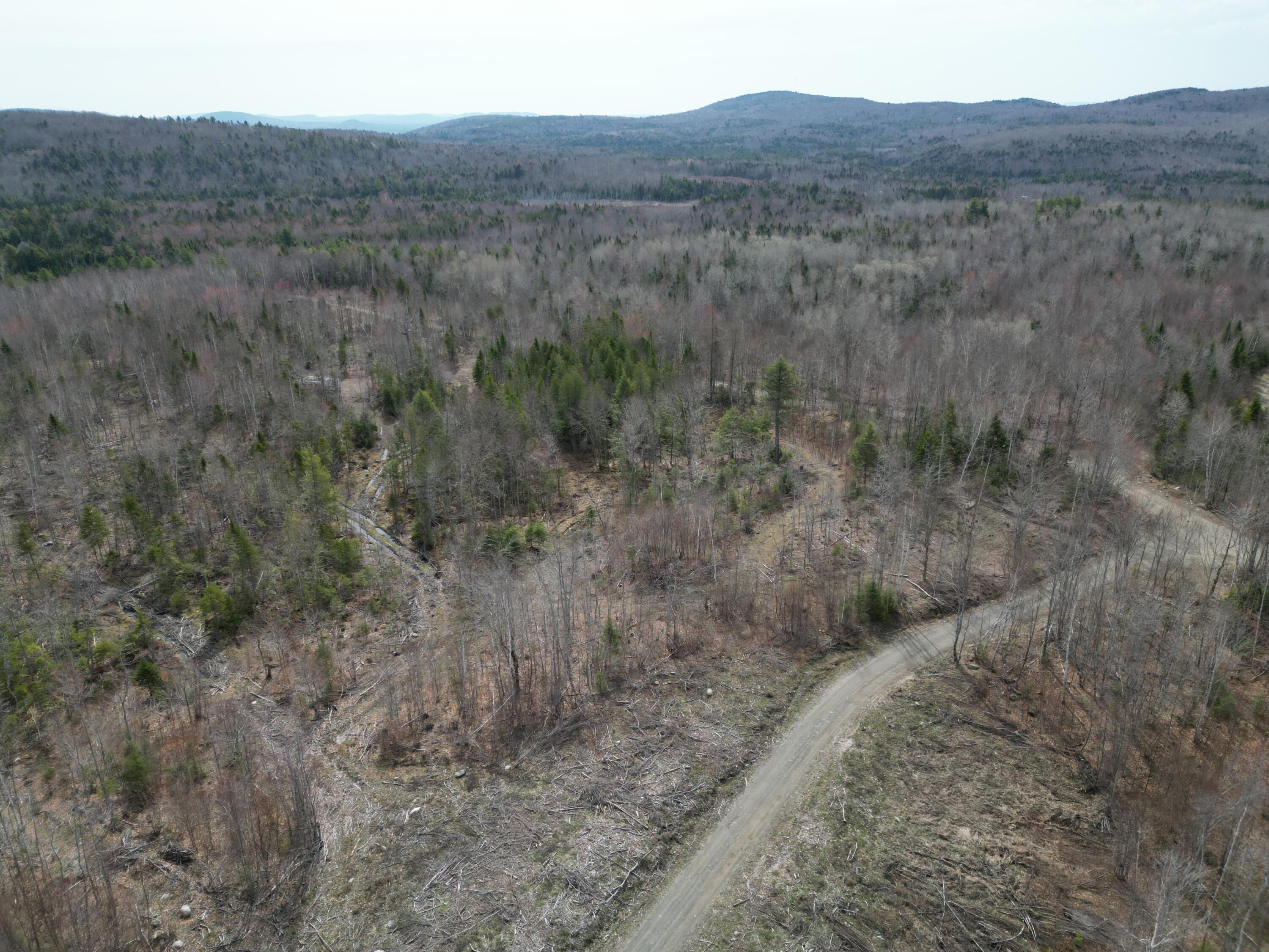Lot 1 Moores Road Springfield, ME 04487 - Photo 17 of 20 DJI_0270