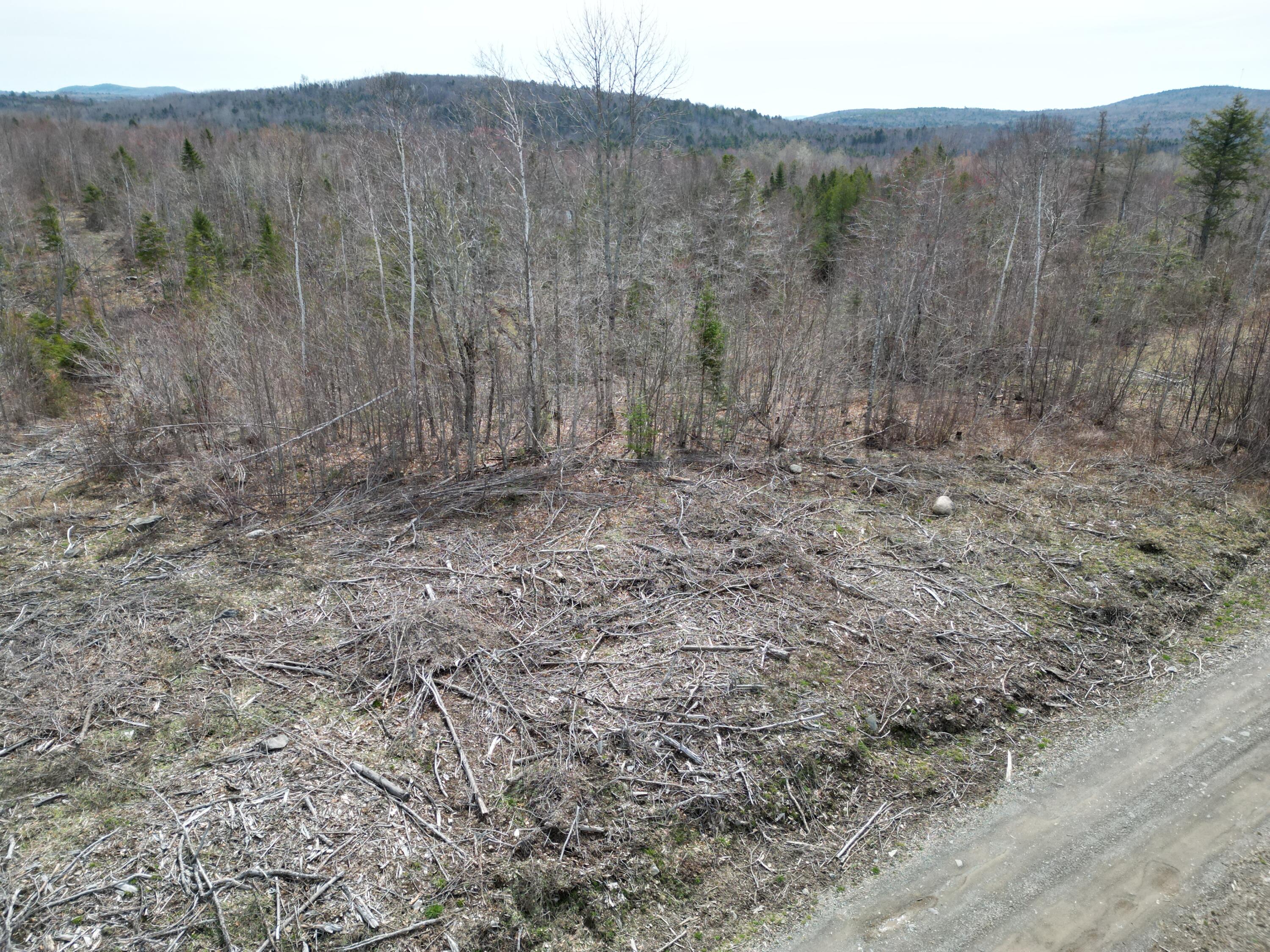 Lot 1 Moores Road Springfield, ME 04487 - Photo 18 of 20 DJI_0271