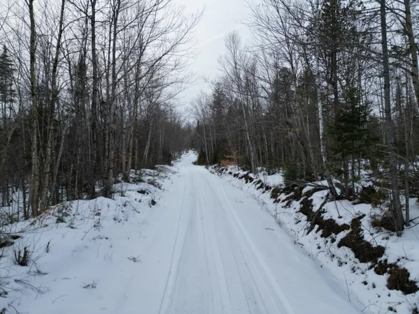 $43,900 | Lot 1 Moores Road, Springfield, ME 04487