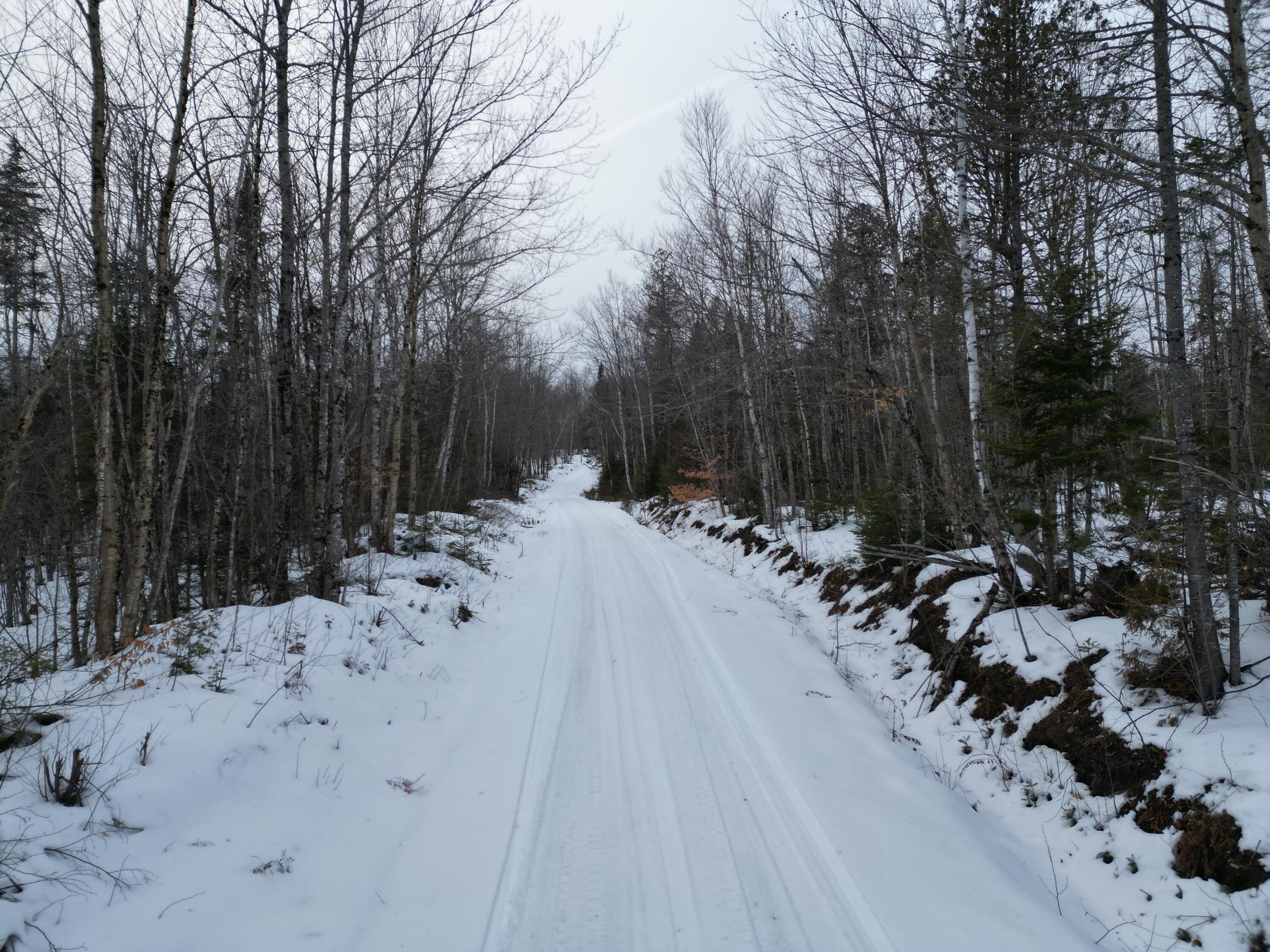 Lot 1 Moores Road Springfield, ME 04487 - Photo 19 of 19 DJI_0952