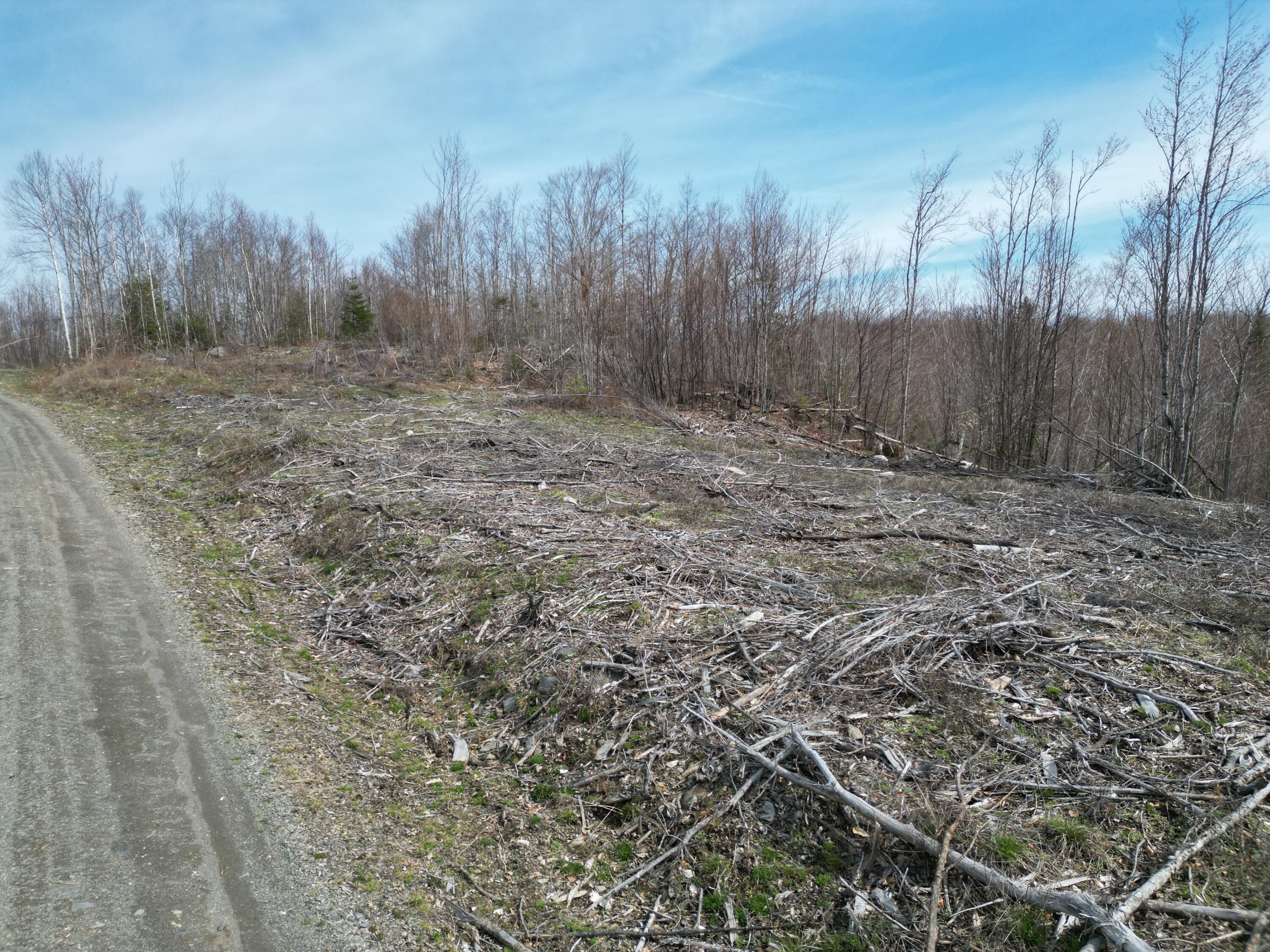 Lot 1 Moores Road Springfield, ME 04487 - Photo 19 of 20 DJI_0272