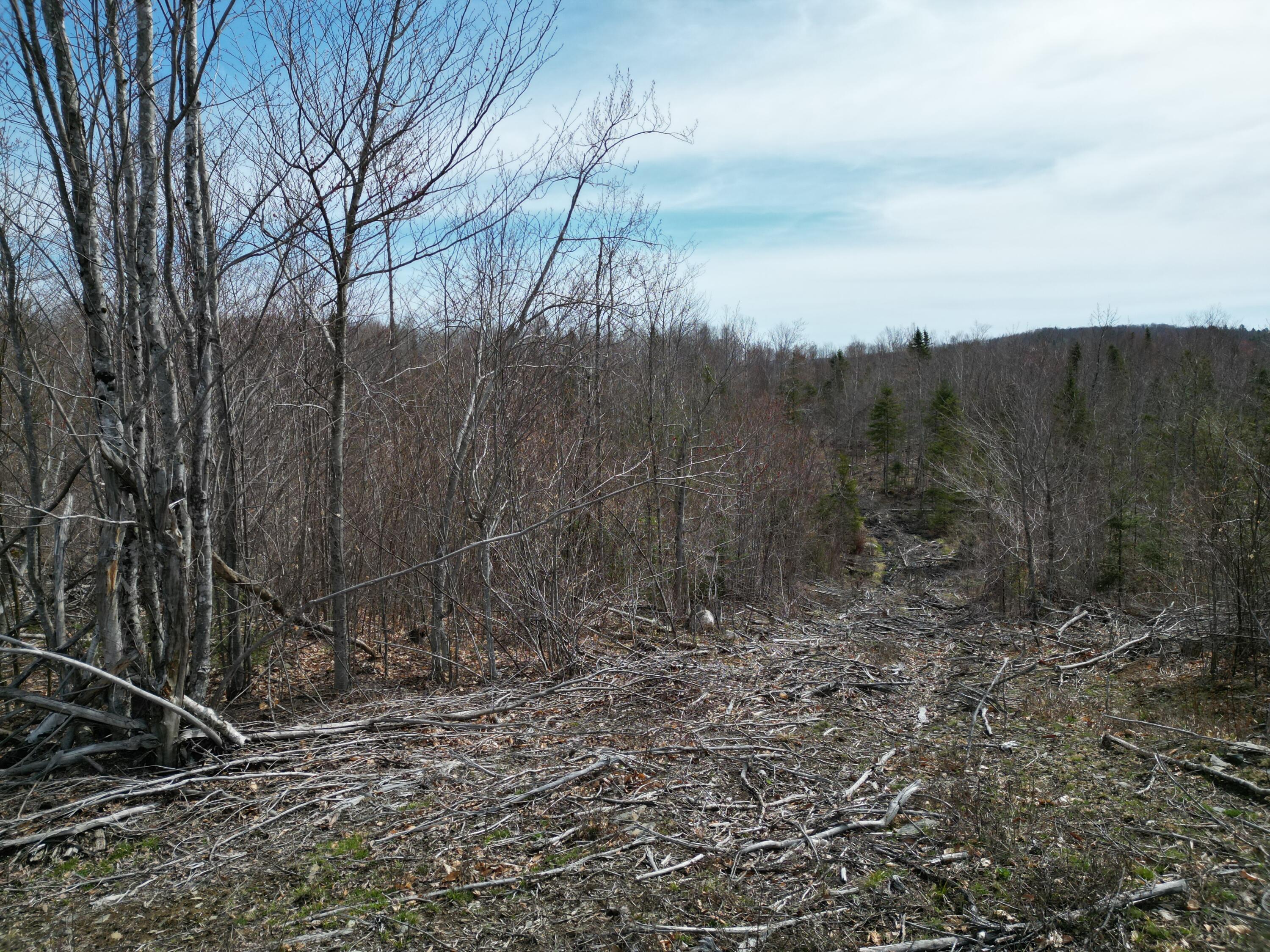 Lot 1 Moores Road Springfield, ME 04487 - Photo 20 of 20 DJI_0273