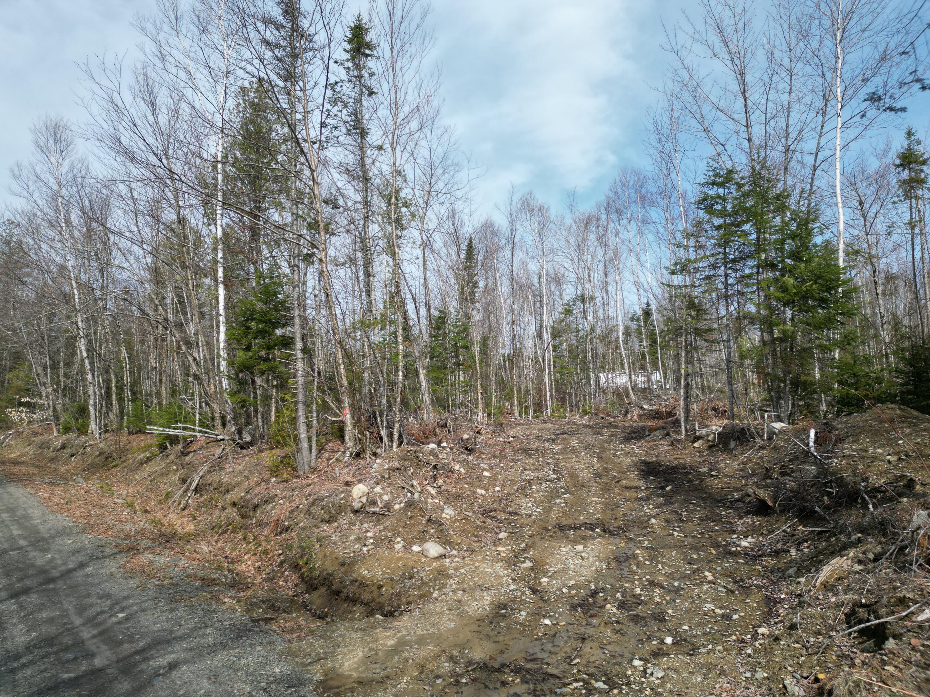 Lot 1 Moores Road Springfield, ME 04487 - Photo 2 of 20 DJI_0255