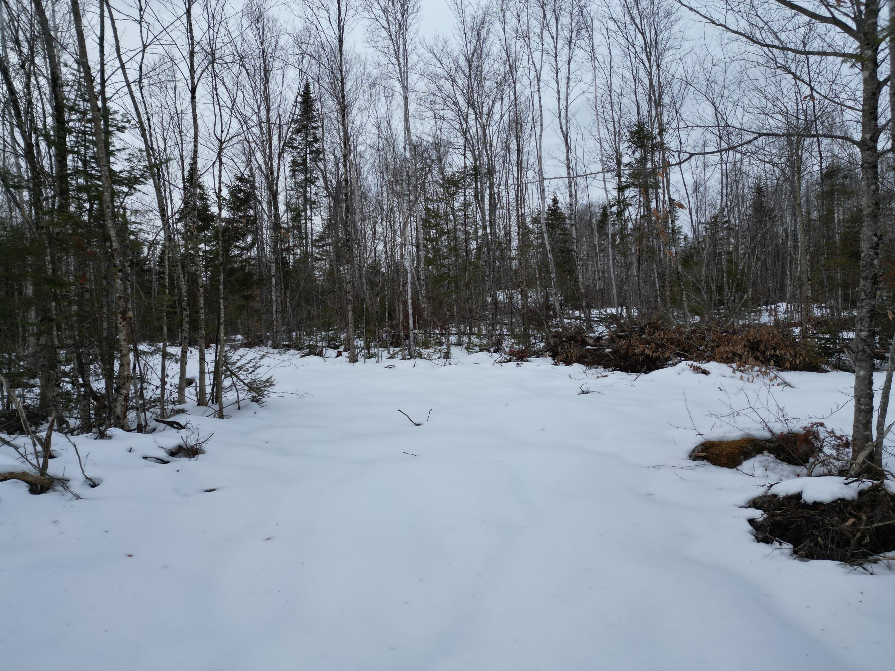 Lot 1 Moores Road Springfield, ME 04487 - Photo 2 of 19 DJI_0935