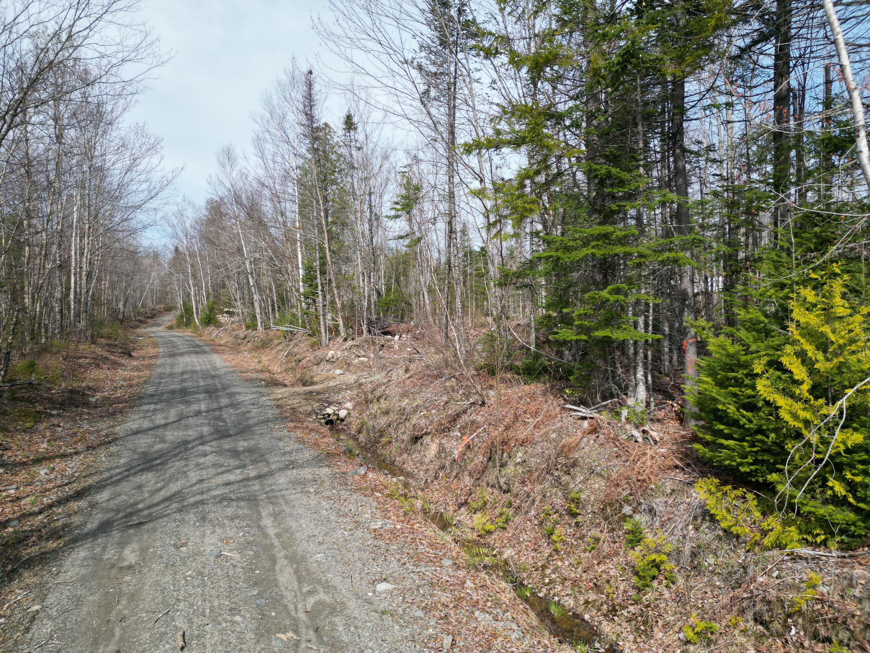 Lot 1 Moores Road Springfield, ME 04487 - Photo 3 of 20 DJI_0254