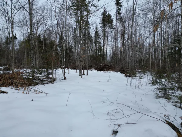 $43,900 | Lot 1 Moores Road, Springfield, ME 04487