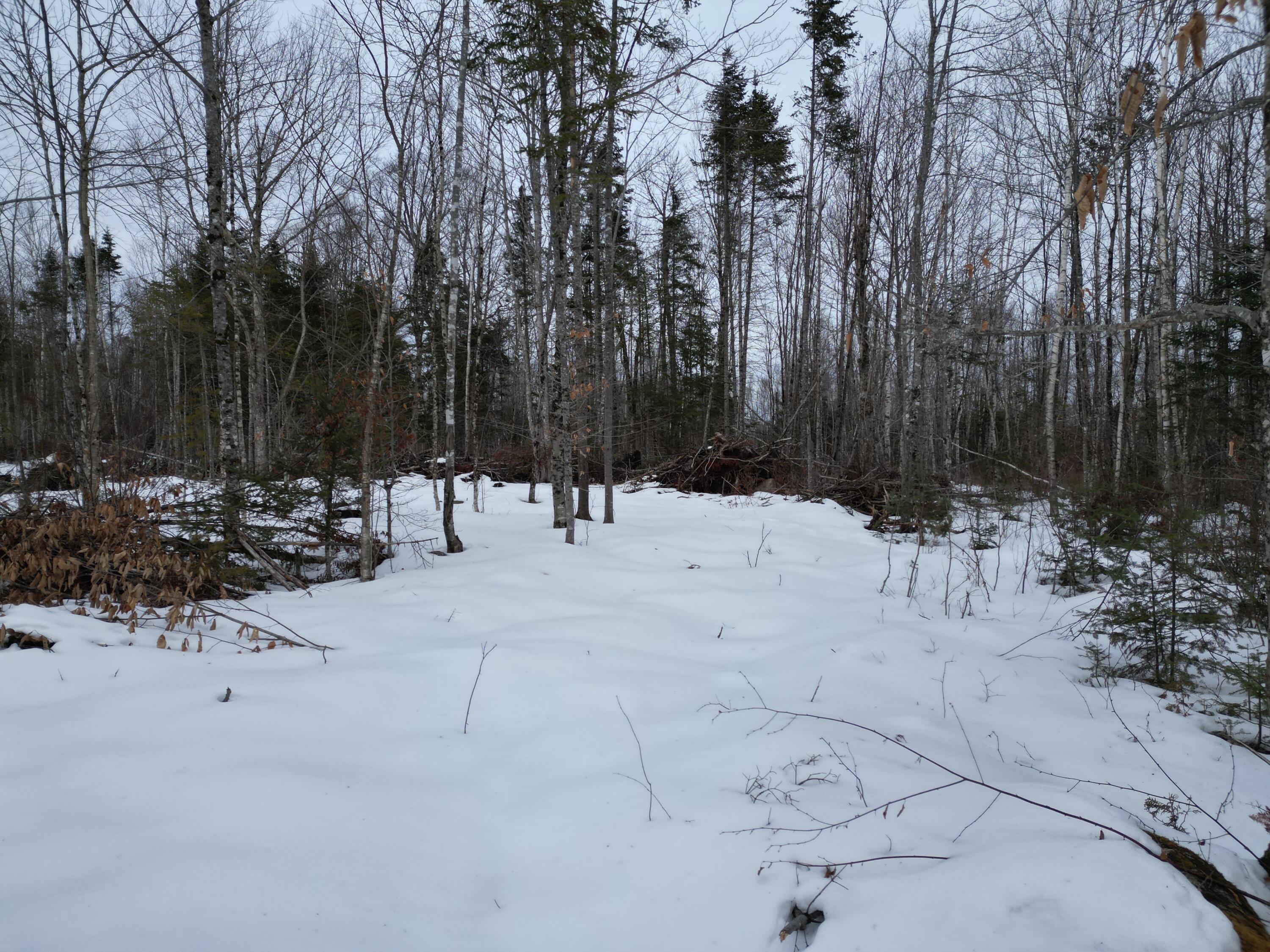 Lot 1 Moores Road Springfield, ME 04487 - Photo 3 of 19 DJI_0936