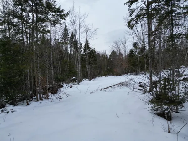 $43,900 | Lot 1 Moores Road, Springfield, ME 04487