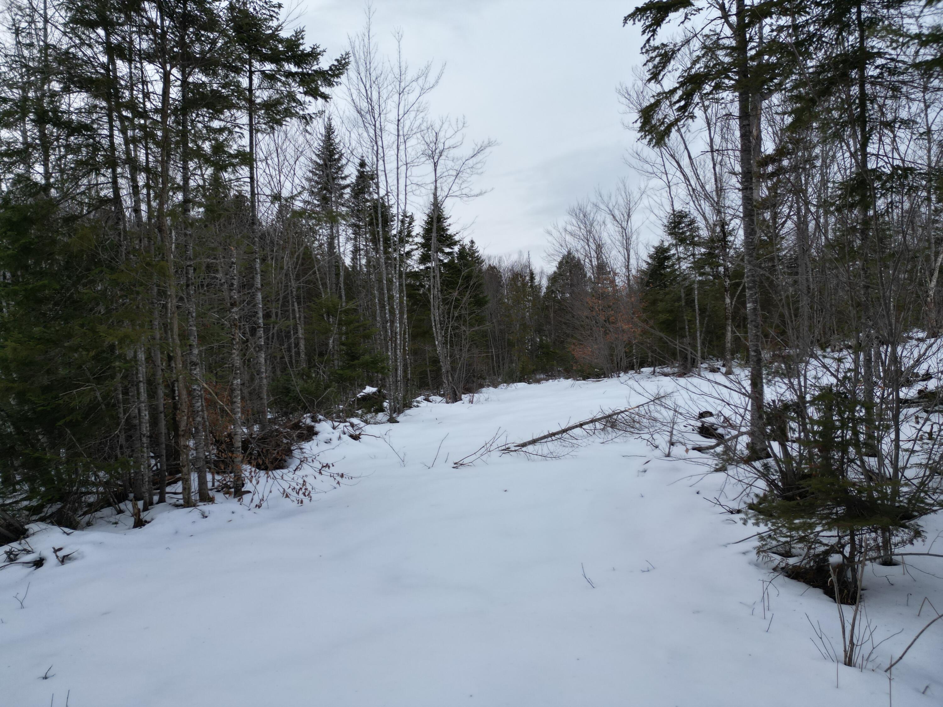 Lot 1 Moores Road Springfield, ME 04487 - Photo 4 of 19 DJI_0937