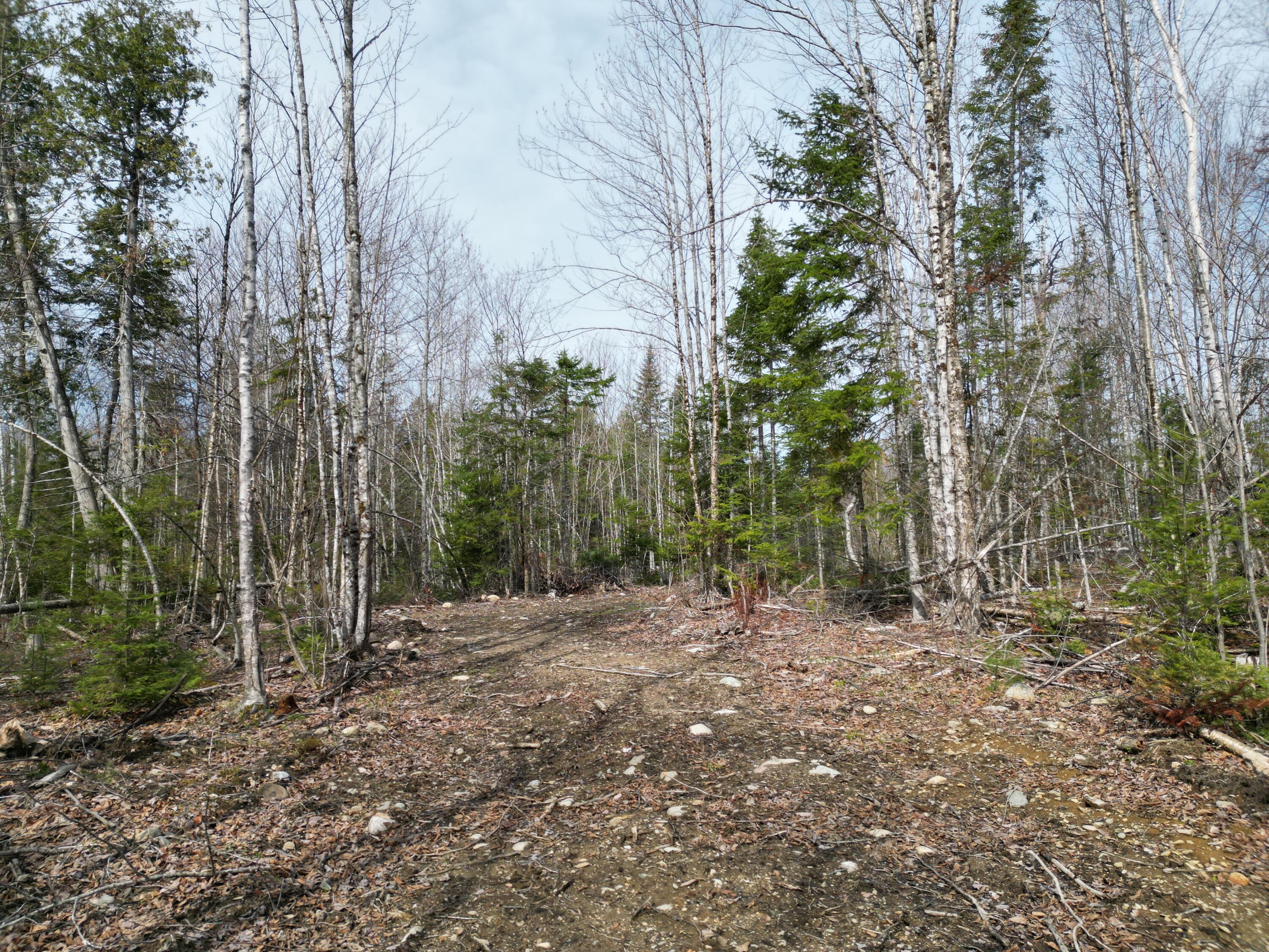 Lot 1 Moores Road Springfield, ME 04487 - Photo 4 of 20 DJI_0256