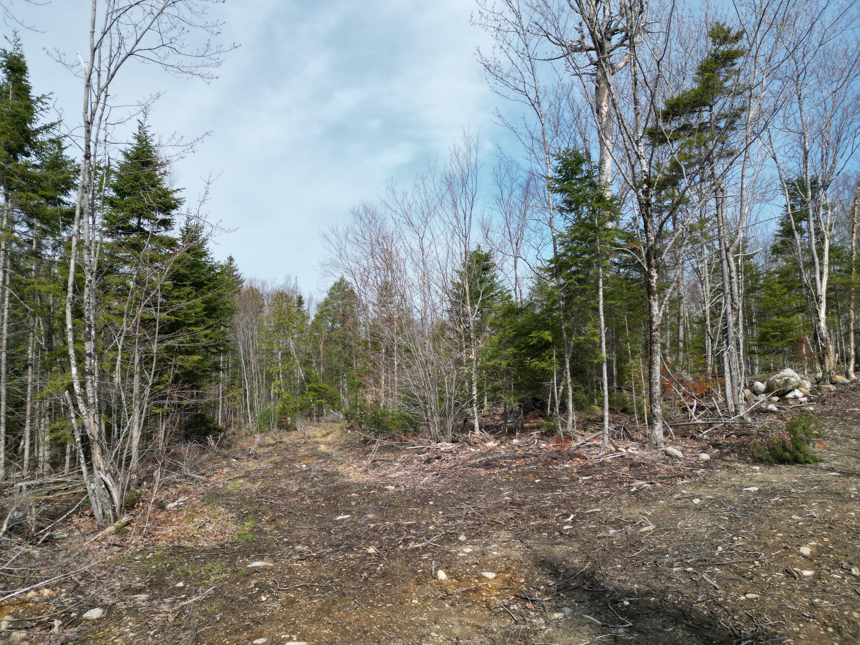 Lot 1 Moores Road Springfield, ME 04487 - Photo 5 of 20 DJI_0257