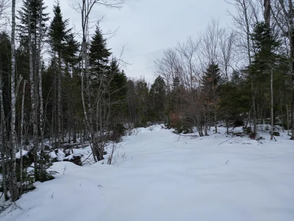 $43,900 | Lot 1 Moores Road, Springfield, ME 04487