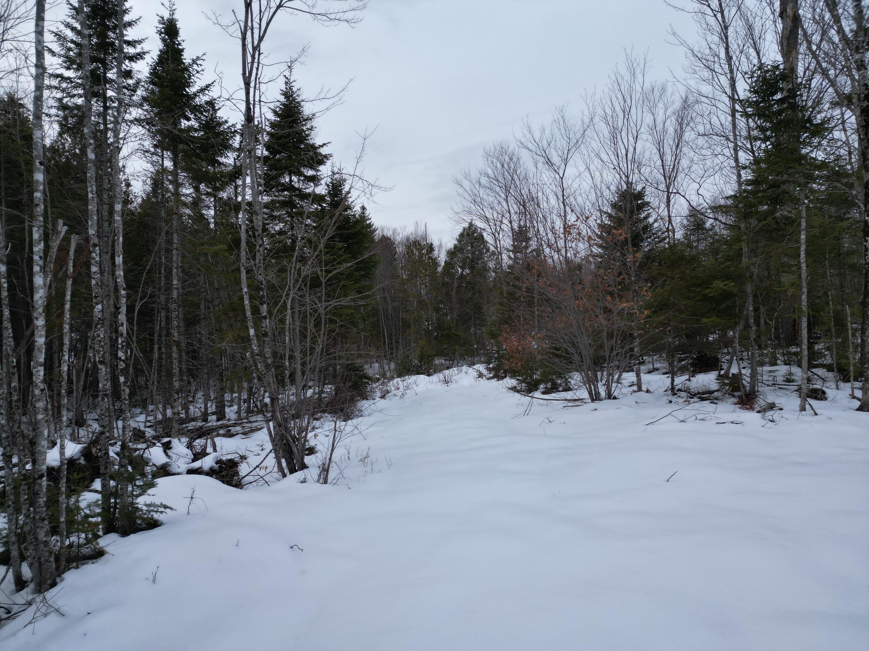 Lot 1 Moores Road Springfield, ME 04487 - Photo 6 of 19 DJI_0939