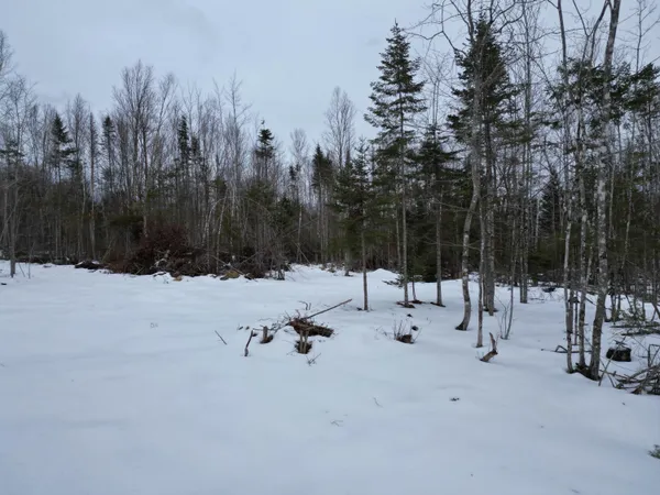 $43,900 | Lot 1 Moores Road, Springfield, ME 04487
