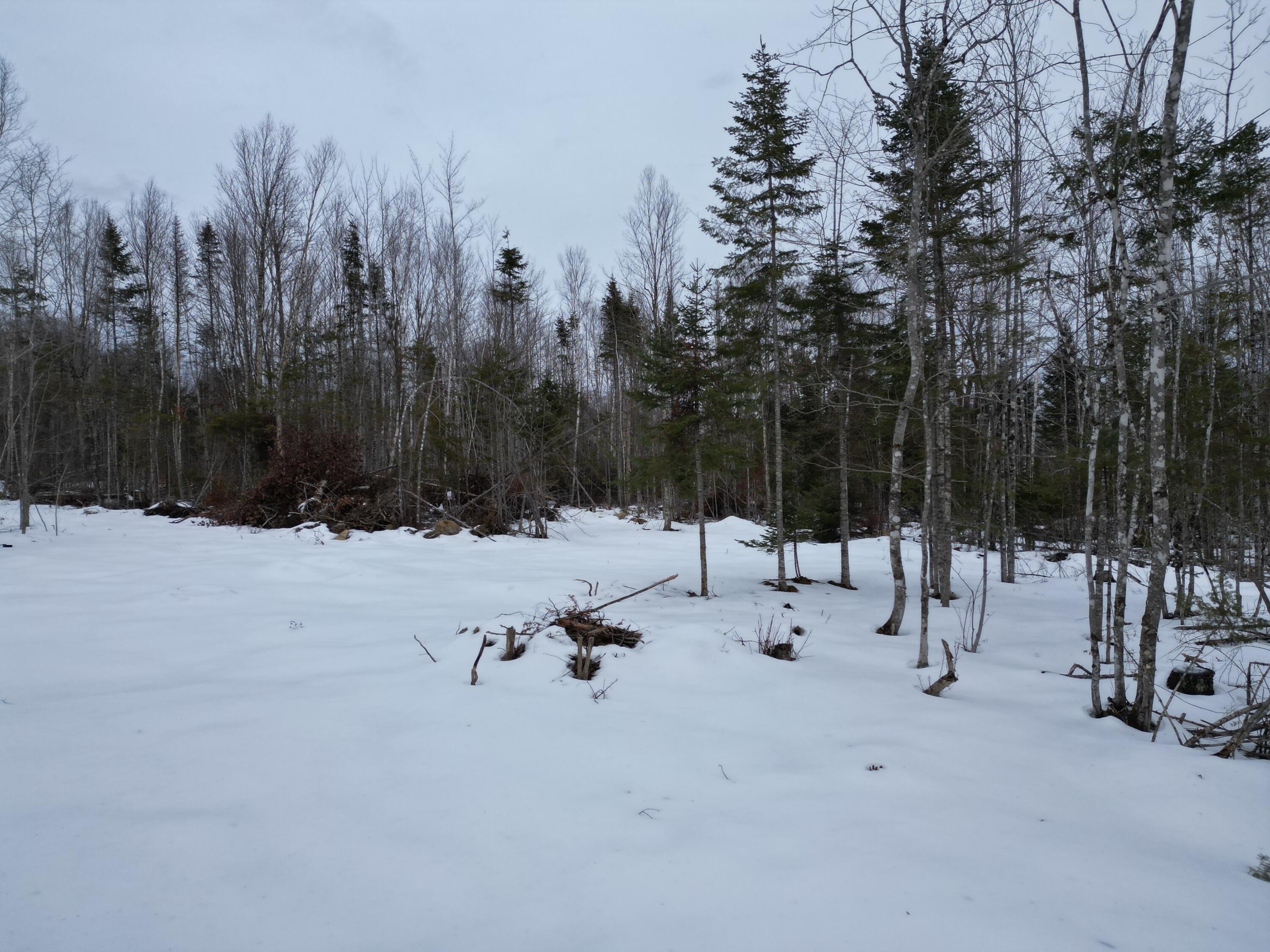 Lot 1 Moores Road Springfield, ME 04487 - Photo 7 of 19 DJI_0940