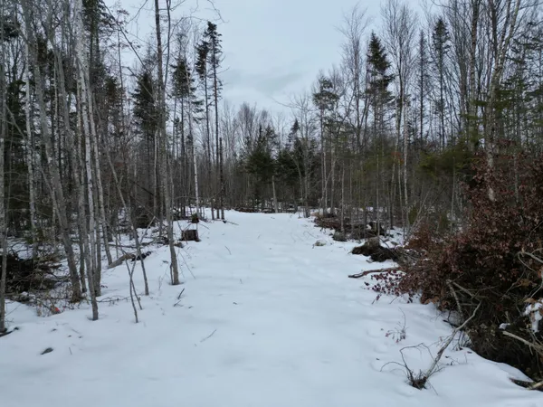 $43,900 | Lot 1 Moores Road, Springfield, ME 04487