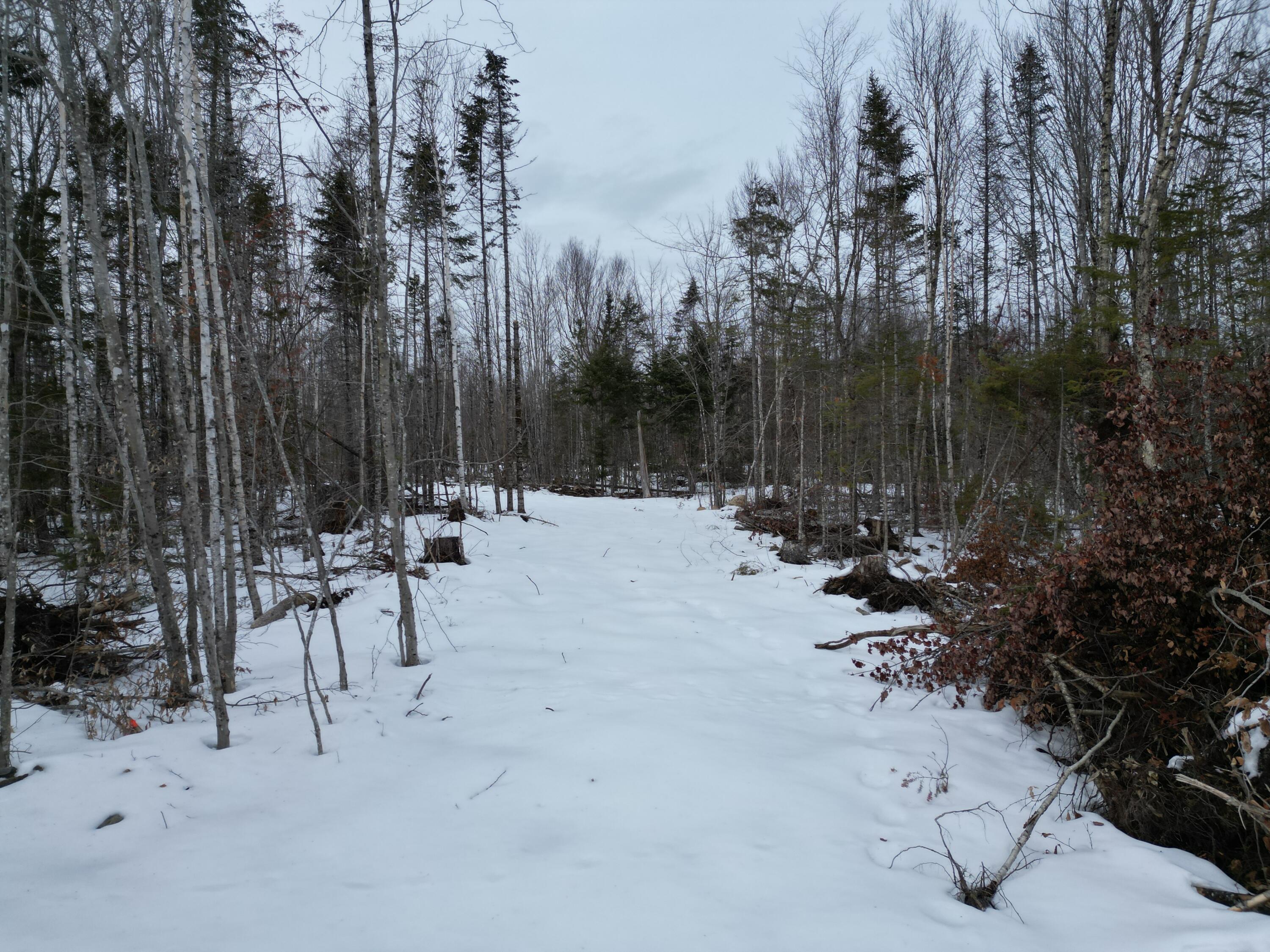Lot 1 Moores Road Springfield, ME 04487 - Photo 9 of 19 DJI_0942