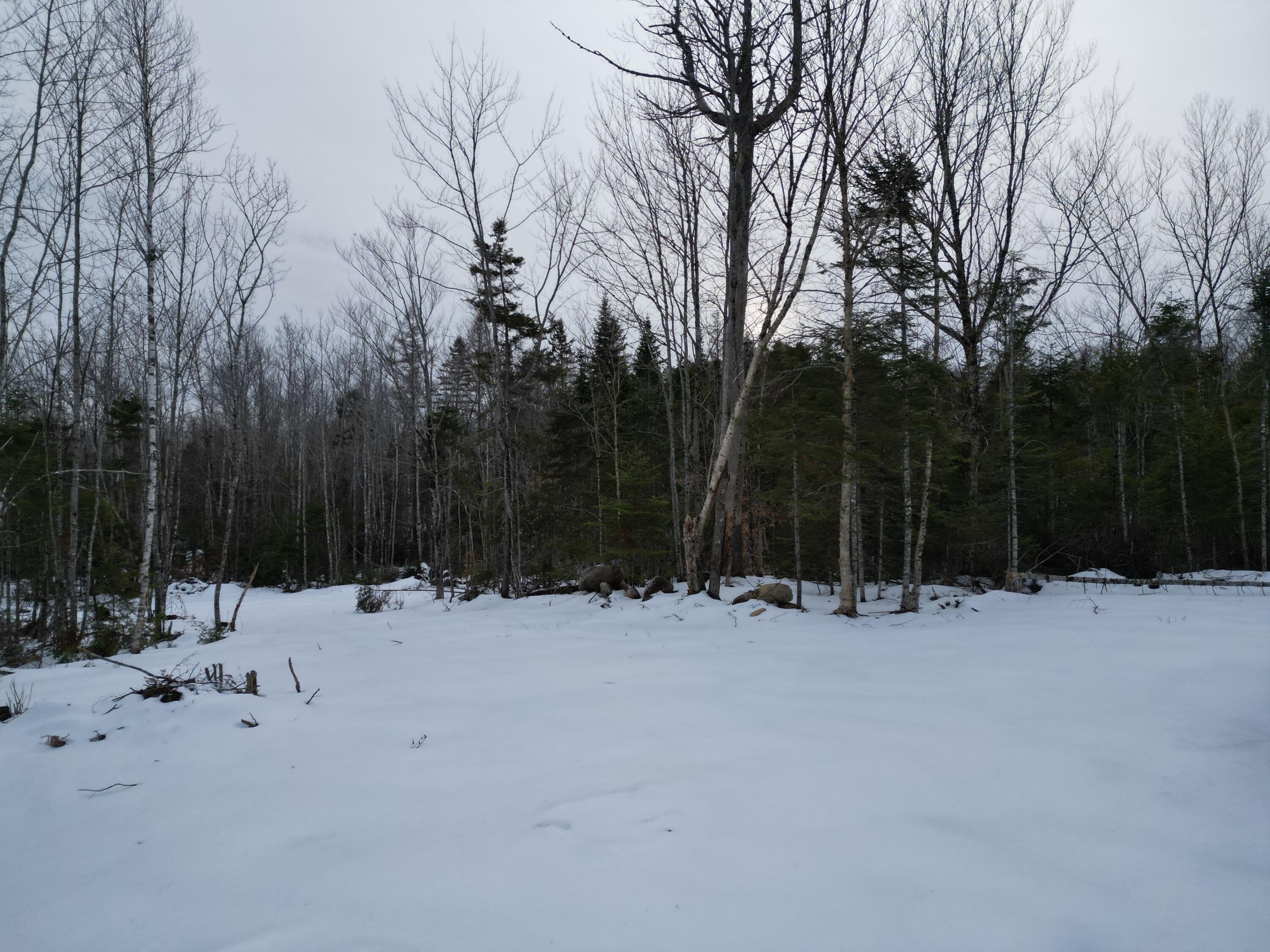 Lot 1 Moores Road Springfield, ME 04487 - Photo 10 of 19 DJI_0943