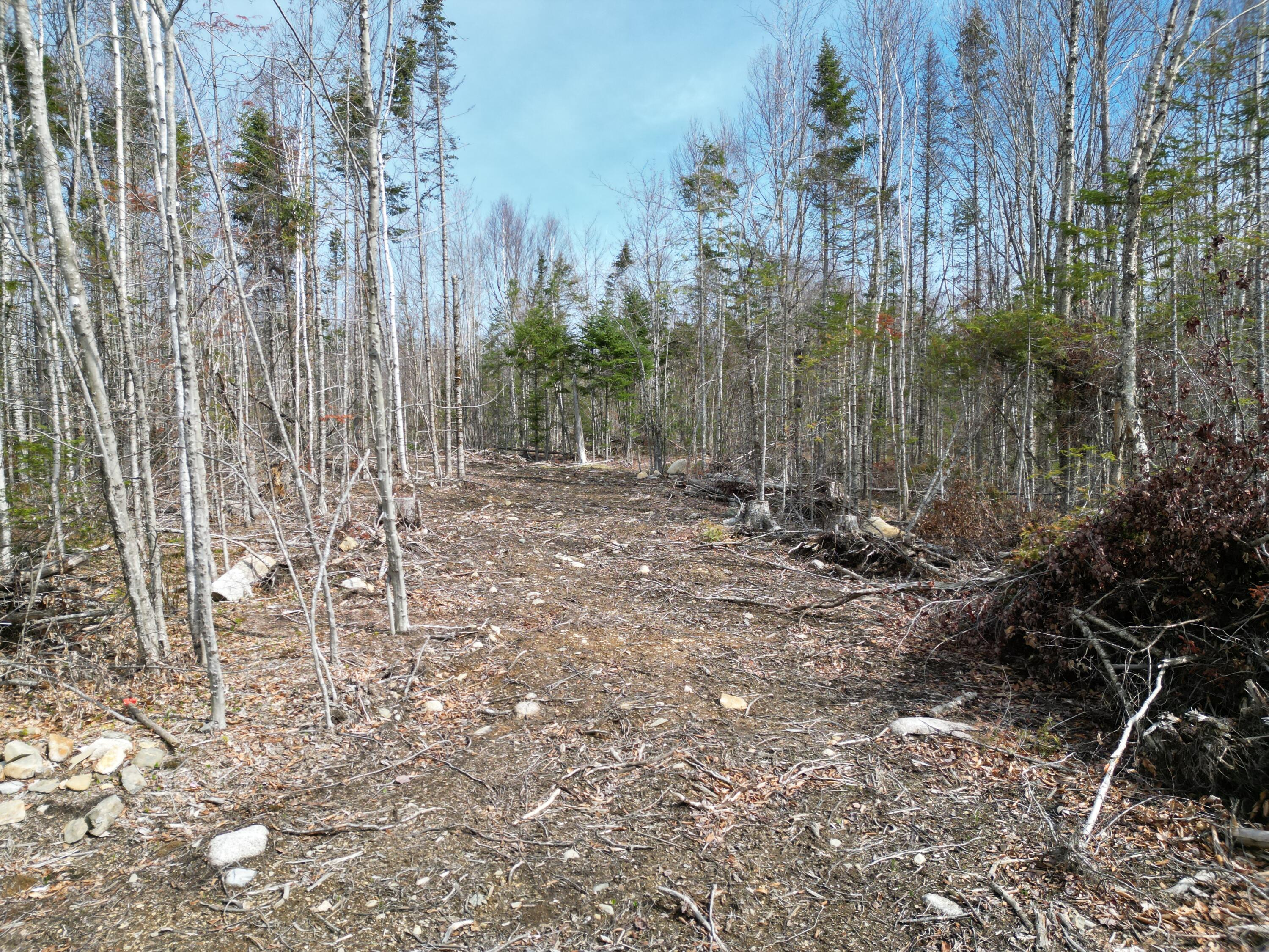 Lot 1 Moores Road Springfield, ME 04487 - Photo 10 of 20 DJI_0262