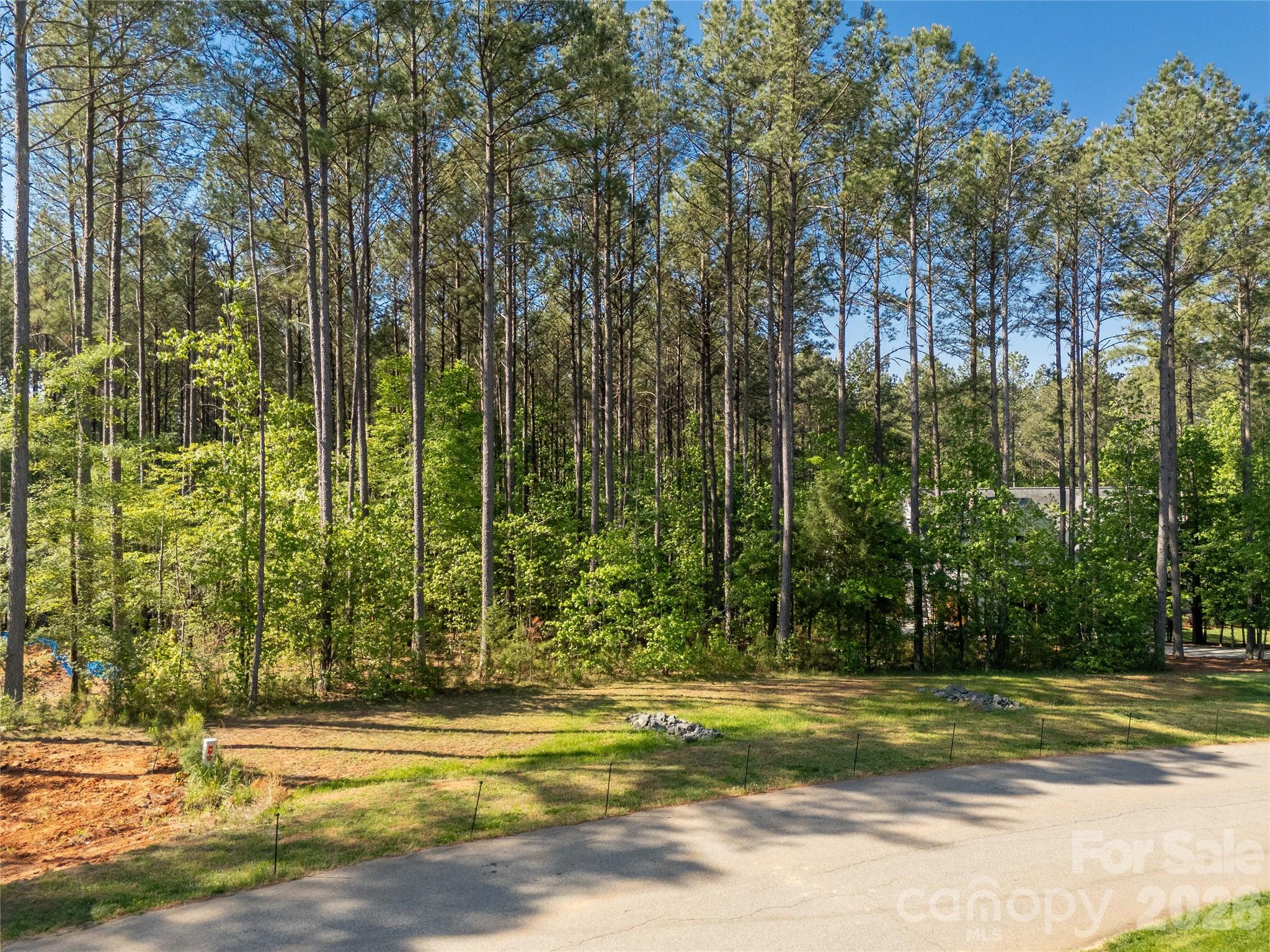 6361 Chimney Bluff Road Lancaster, SC 29720 - Photo 11 of 40