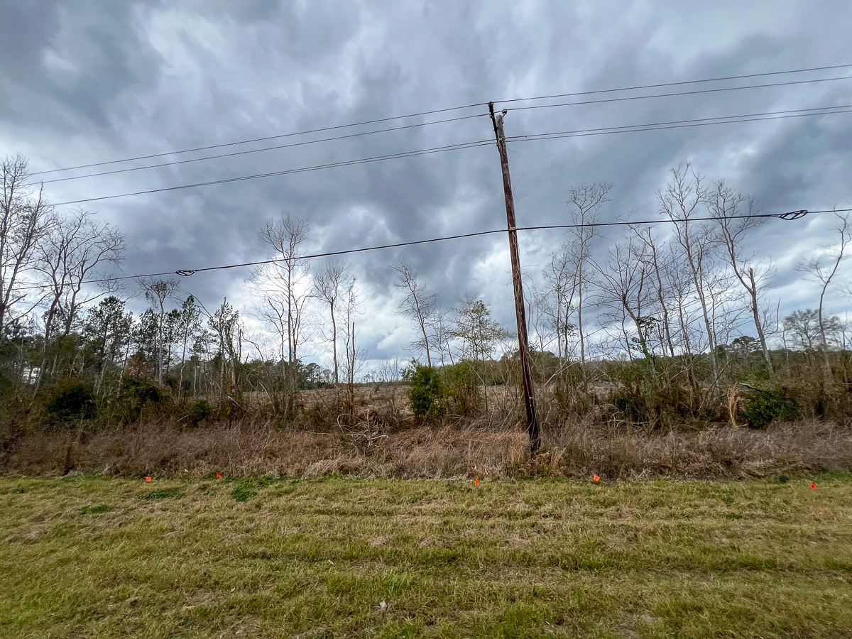 2 County Road 3038 Newton, TX 75966 - Photo 11 of 14 a view of a yard