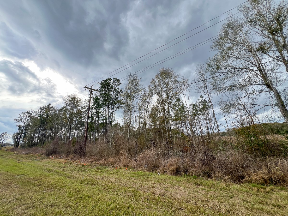2 County Road 3038 Newton, TX 75966 - Photo 12 of 14 a view of a yard with large trees