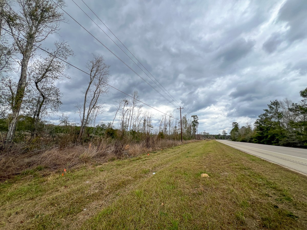 2 County Road 3038 Newton, TX 75966 - Photo 13 of 14 a view of a field with trees