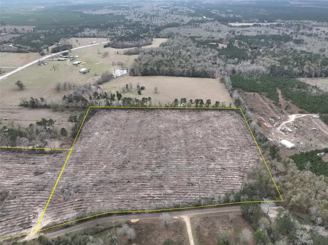 a view of a dry yard with large trees