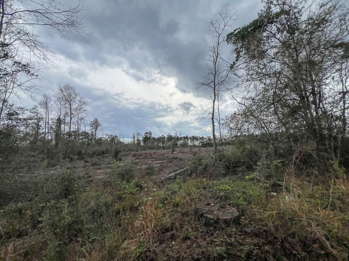 2 County Road 3038 Newton, TX 75966 - Photo 8 of 14 a view of a city