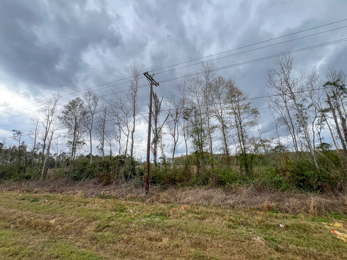 2 County Road 3038 Newton, TX 75966 - Photo 10 of 14 a backyard of a house with lots of green space